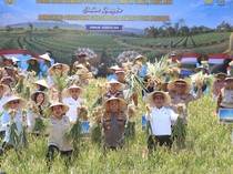 Kemenko Pangan Bakal Gandeng Banyak Pihak untuk Genjot Produksi Bawang Putih