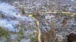 4 Hektare Lahan di Batang Hari Terbakar, Petugas Berjibaku Padamkan Api