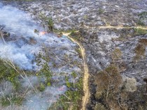 Sejarah Karhutla Jambi 20 Tahun Terakhir, 2015-2019 Jadi Bencana Asap Terburuk