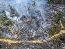 Sederet Upaya Pemerintah Tangani Karhutla: Water Bombing-Modifikasi Cuaca