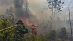 4 Hektare Lahan di Batang Hari Terbakar, Petugas Berjibaku Padamkan Api