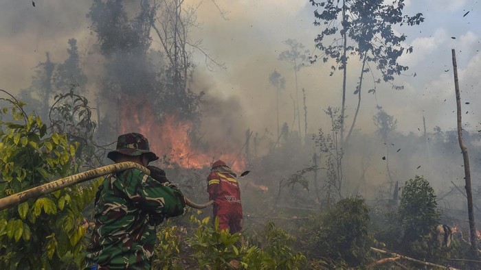 Petugas Manggala Agni Daops Muara Bulian memadamkan api yang membakar lahan di Tenam, Batang Hari, Jambi, Jumat (21/8/2026). Petugas Manggala Agni bersama prajurit TNI terus mengupayakan pemadaman kebakaran hutan dan lahan (karhutla) di daerah itu yang telah memasuki hari kedua dengan luas lahan terbakar mencapai empat hektare. ANTARA FOTO/Wahdi Septiawan
