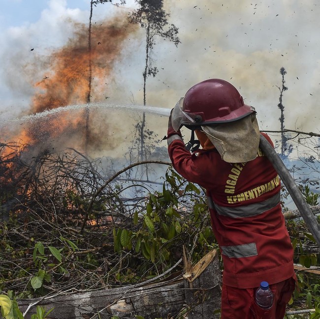 4 Hektare Lahan di Batang Hari Terbakar, Petugas Berjibaku Padamkan Api