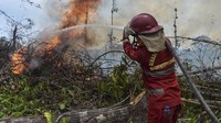 3 Hambatan Ini Bikin Api Karhutla Sulit Dipadamkan