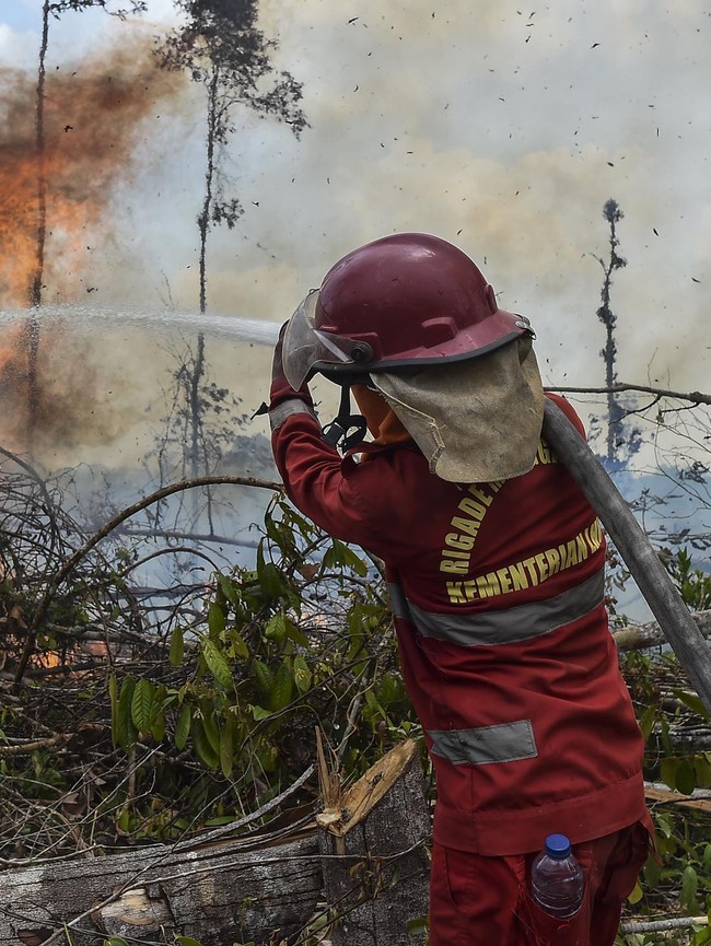 4 Hektare Lahan di Batang Hari Terbakar, Petugas Berjibaku Padamkan Api
