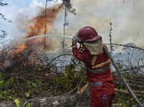 4 Hektare Lahan di Batang Hari Terbakar, Petugas Berjibaku Padamkan Api
