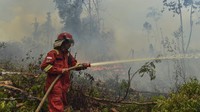 Banyak Penerbangan Dibatalkan Imbas Karhutla Kalimantan