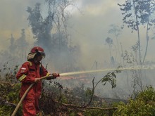 Banyak Penerbangan Dibatalkan Imbas Karhutla Kalimantan