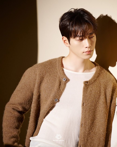 Aktor Korea Selatan Seo Kang Joon