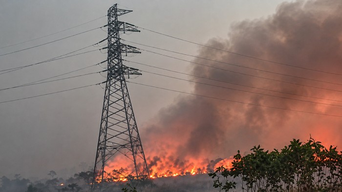 Api karhutla dekati gardu induk PLN di Lamandau.