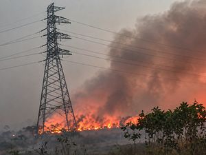 Video: Kebakaran Hebat Landa Hutan Lamandau Kalimantan Tengah