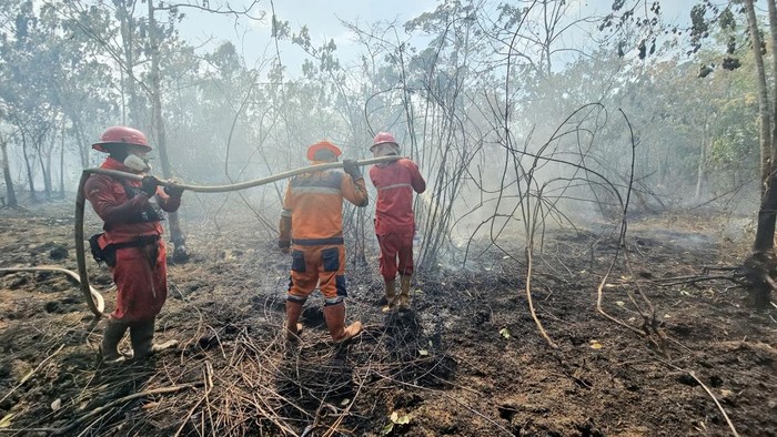 BPBD OKI melakukan mopping up di area karhutla.
