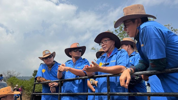 Bupati Bone Andi Asman Sulaiman saat mengunjungi Balai Pembibitan Ternak Unggul dan Hijauan Pakan Ternak (BPTU-HPT) Denpasar. Agung Pramono/detikSulsel.