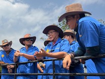 Pemkab Bone Belajar Pembibitan Sapi Bali dari Pengelolaan BPTU-HPT Denpasar