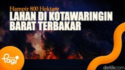 Video: Hampir 800 Hektare Lahan di Kotawaringin Barat Terbakar
