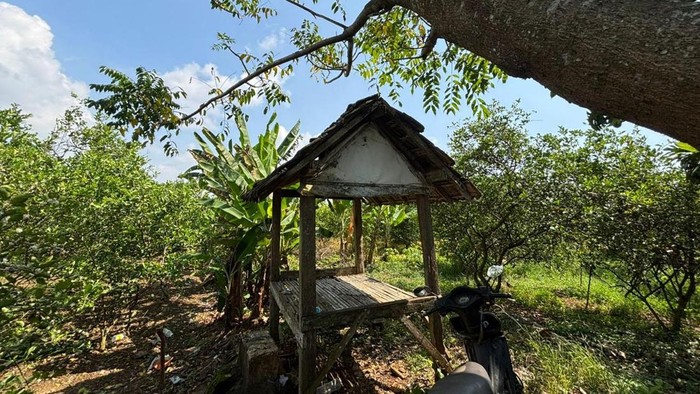 Gubuk tempat dukun cabul memperkosa pasiennya.