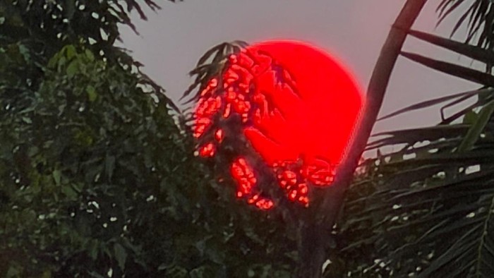 Heboh Matahari Merah Pekat di Palangka Raya
