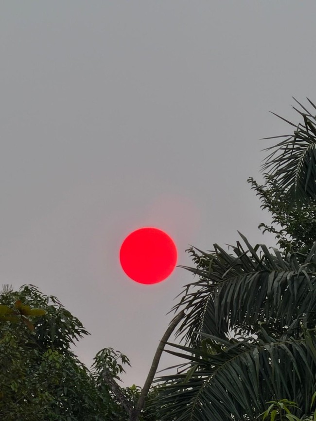 Melihat Matahari Merah untuk Pertama Kalinya: Kami Tunggu Sampai Tenggelam