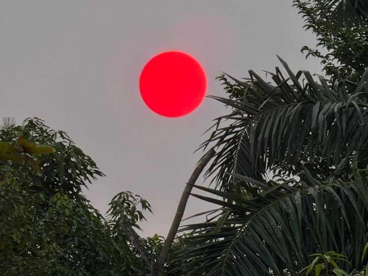 Melihat Matahari Merah untuk Pertama Kalinya: Kami Tunggu Sampai Tenggelam