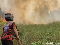 Waka Komisi IX DPR Usul Status KLB Jika ISPA Akibat Karhutla Memburuk