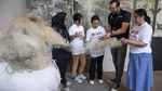 Jaring Ikan Bekas Disulap Jadi Panel hingga Peralatan Rumah