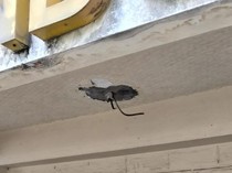Kantor PWI Sumut 3 Kali Dibobol Maling, Polrestabes Didesak Tangkap Pelaku