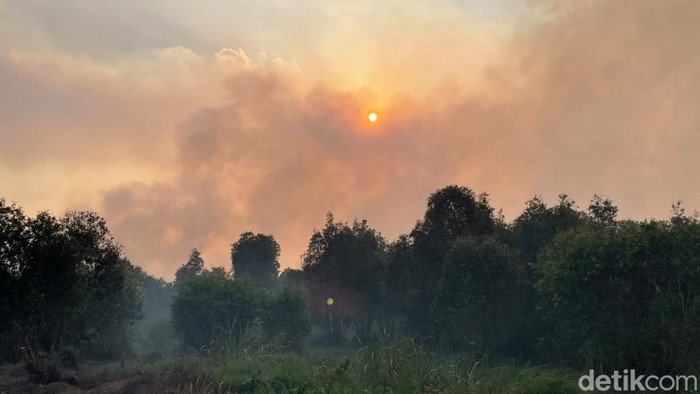 Karhutla di Landasan Ulin Selatan, Kecamatan Liang Anggang, Kota Banjarbaru, Jumat (21/8/2026).