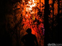 Asap Kebakaran Hutan Kalimantan Ganggu Penerbangan