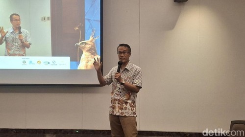 Ketua Raptor Indonesia, Zaini Rahman dalam acara Strategi dan Rencana Aksi Konservasi (SRAK) Elang Jawa 2026-2036 di Kuta, Badung, Jumat (21/8/2026).