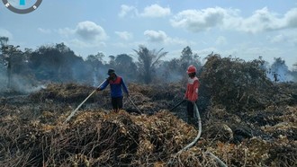 Total Luas Karhutla di Indonesia 72.798 Ha, Paling Besar di Kalbar