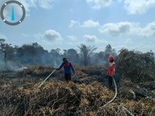 Total Luas Karhutla di Indonesia 72.798 Ha, Paling Besar di Kalbar