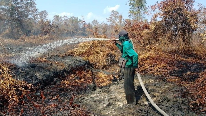 Pemadaman karhutla di Kendawangan, Ketapang. (dok Humas Polres Ketapang)