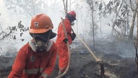 Hotspot Karhutla Kalimantan Turun, Tapi Ancaman Masih Ada