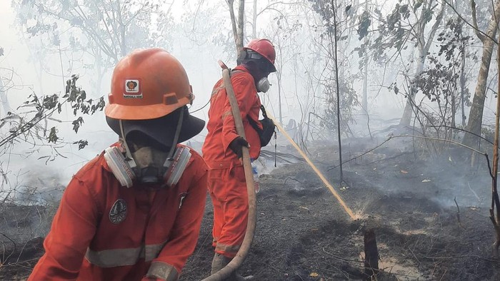 Penanganan Karhutla di Kalimantan