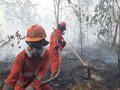 Hotspot Karhutla Kalimantan Turun, Tapi Ancaman Masih Ada