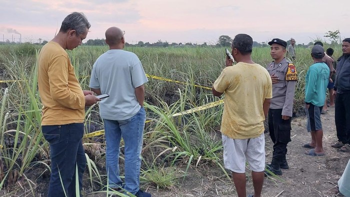Lokasi diitemukannya Sodikin (71) di lahan tebunya di Desa Singogalih, Kecamatan Tarik, Sidoarjo