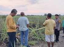 Petani Lansia di Sidoarjo Ditemukan Tewas Hangus Usai Bakar Sampah