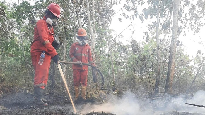 Petugas memadamkan karhutla di Kalimantan