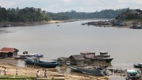 Pemandangan Tak Biasa Kala Sungai Barito di Kalimantan Mengering