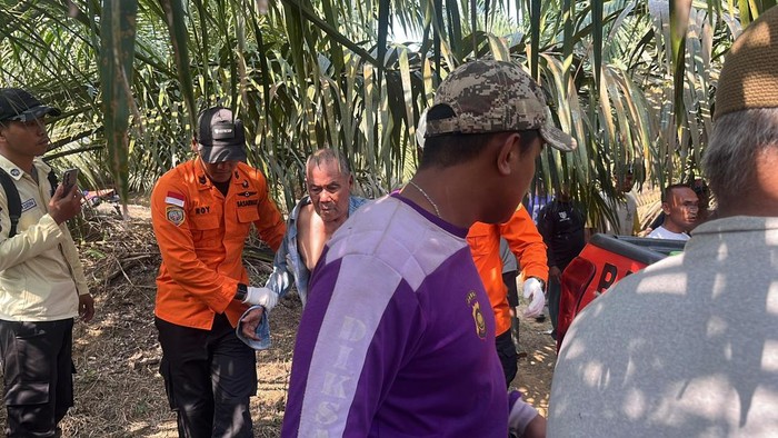 Tim SAR menyelamatkan kakek yang hilang di kebun sawitnya di Muaro Jambi, Jambi