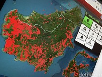 4 Korporasi Diselidiki soal Karhutla Kalimantan