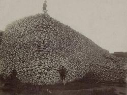 10 Foto Aneh dan Mengerikan, Menyimpan Fakta Sejarah Tak Terduga