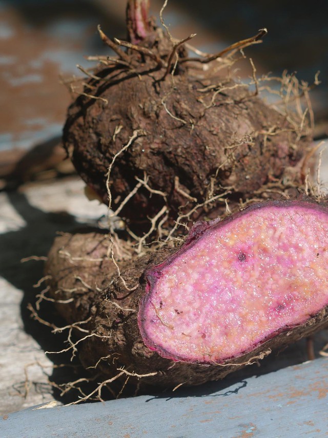 Ube Vs Ubi