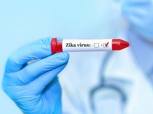 Heboh Alert Virus Zika di Bali Meski Dibantah Kemenkes RI, Ini Gejala yang Bisa Muncul