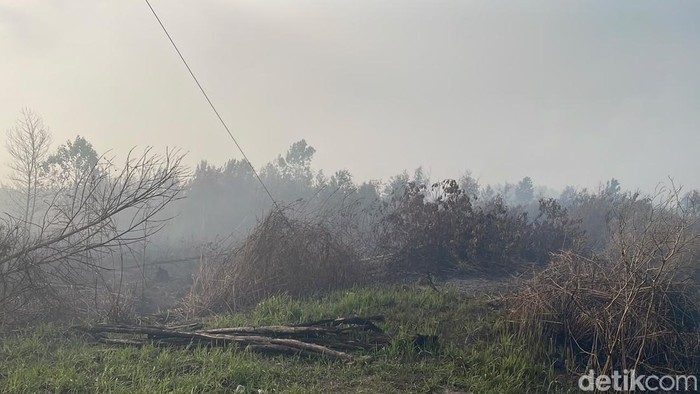 Begini Potret Kabut Asap di Banjarbaru yang Dinilai Gubernur Tak Parah. (Khairun Nisa/detikKalimantan)