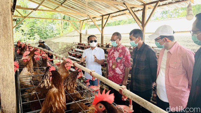 Bupati Bone Andi Asman Sulaiman (baju putih) saat melakukan kunjungan kerja ke Kelompok Dana Mertamasari dan Kelompok Tani Gopawinangon di Desa Kayubihi, Kecamatan Bangli, Kabupaten Bangli, Bali.
