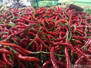 Harga Cabai Merah di Sumut Mulai Turun, Termurah di Pakpak Bharat Rp 50 Ribu/Kg