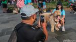 Jogging Bareng Anabul Jadi Momen Seru Perkuat Bonding