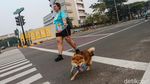 Jogging Bareng Anabul Jadi Momen Seru Perkuat Bonding
