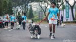 Jogging Bareng Anabul Jadi Momen Seru Perkuat Bonding